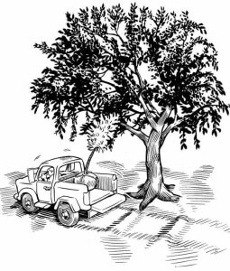 Soil compaction