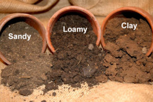 Soil Management 2