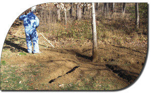 Tree Protection During Construction 2