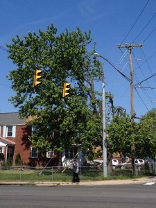 power lines