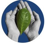 sick tree canopy protection program