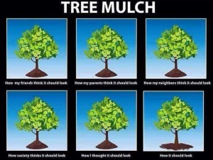 Mulch Volcanoes