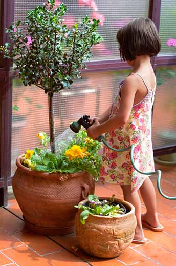 annual tree care programs
