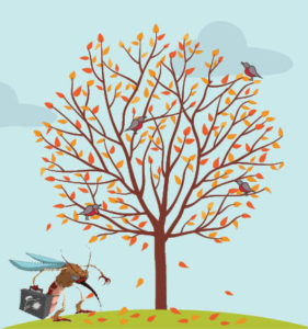 5 Most Important Fall Tree Care Tips