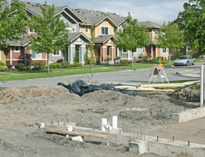Tree Protection During Construction 3