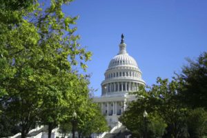 DC Special Tree Permit 1