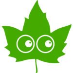 aesthetic benefits of tree trimming: eyes on leaf