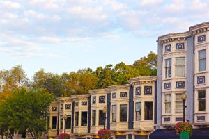 DC Special Tree Permit