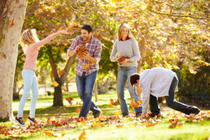 Fall Tree Care