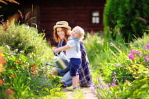 Spring Tree Care 1