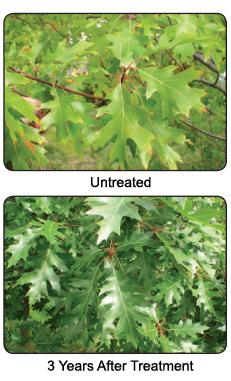 Tree Growth Regulator