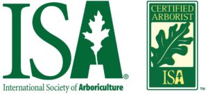 Certified Arborist