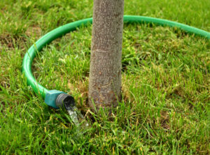 4 Essentials Of Soil Health 3