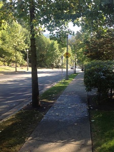 honeydew on walkway