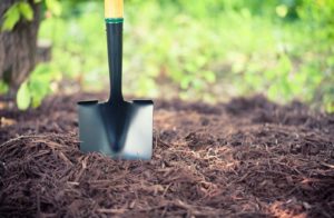 8 fall mulching tips