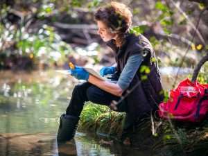 Other Environmental Solutions