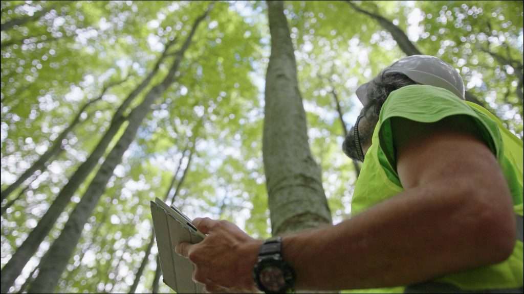 RTEC Treecare Team Careers
