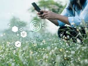 Environmental Consulting