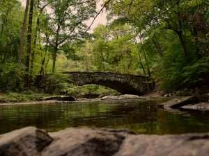 Environmental Restoration