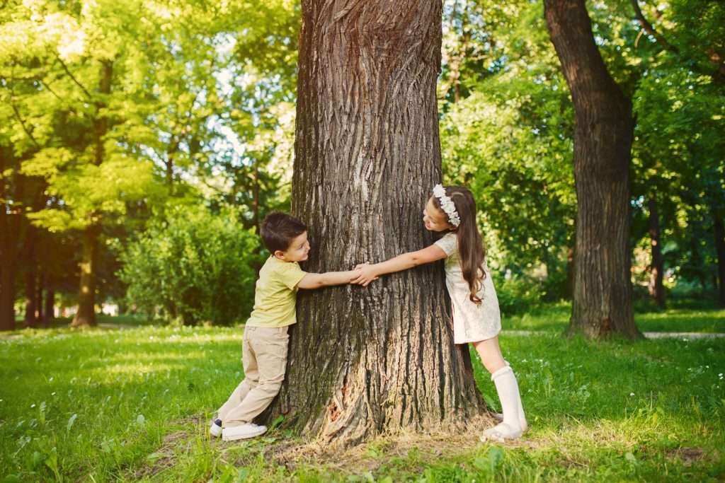 The RTEC Treecare Promise