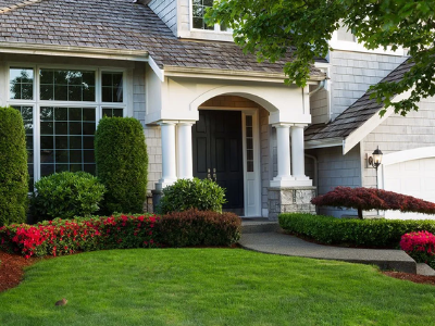 Tree Pruning Services