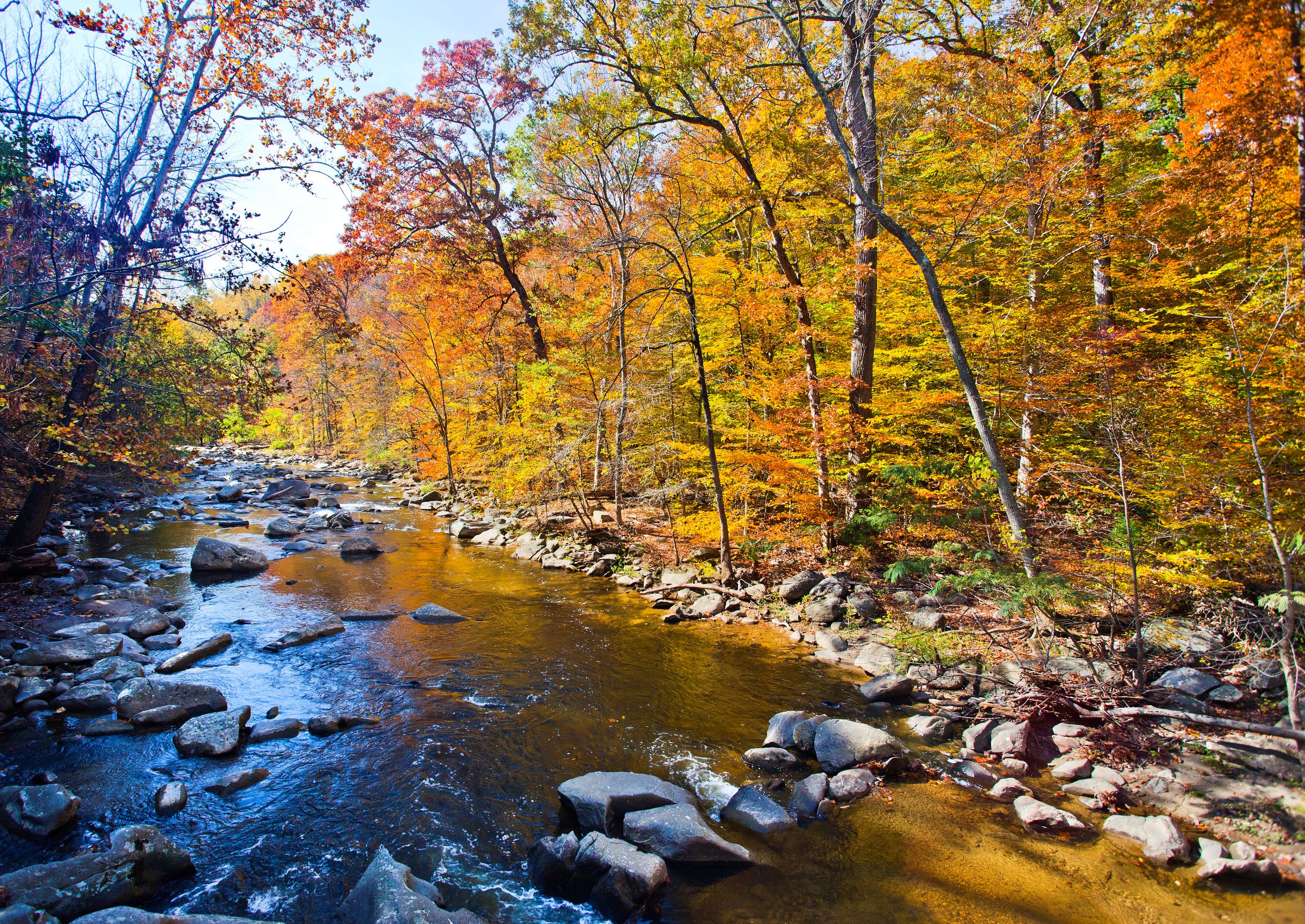 Rock Creek Park Waterway