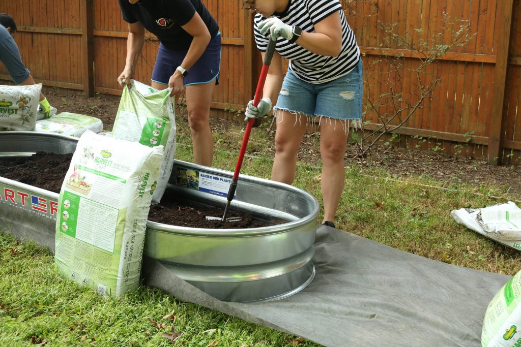 Organic soil in a raised garden bed.