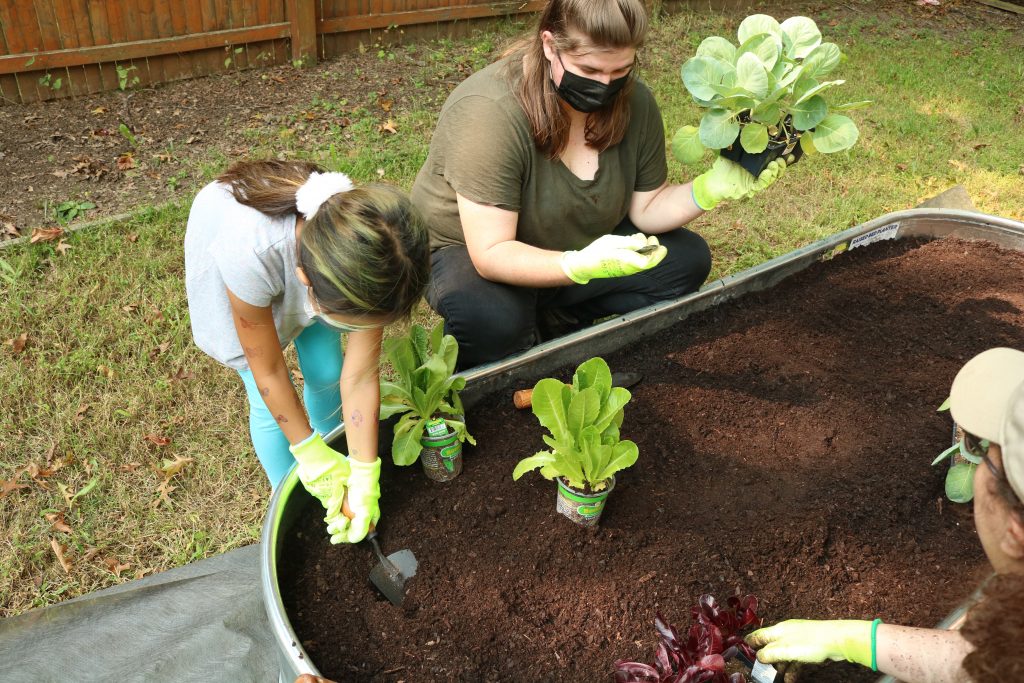Child planting in raised garden bed.