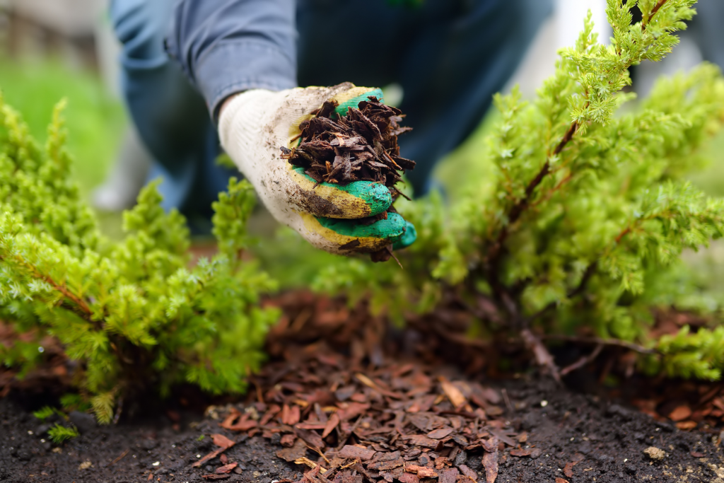 Up close of handful of mulch
