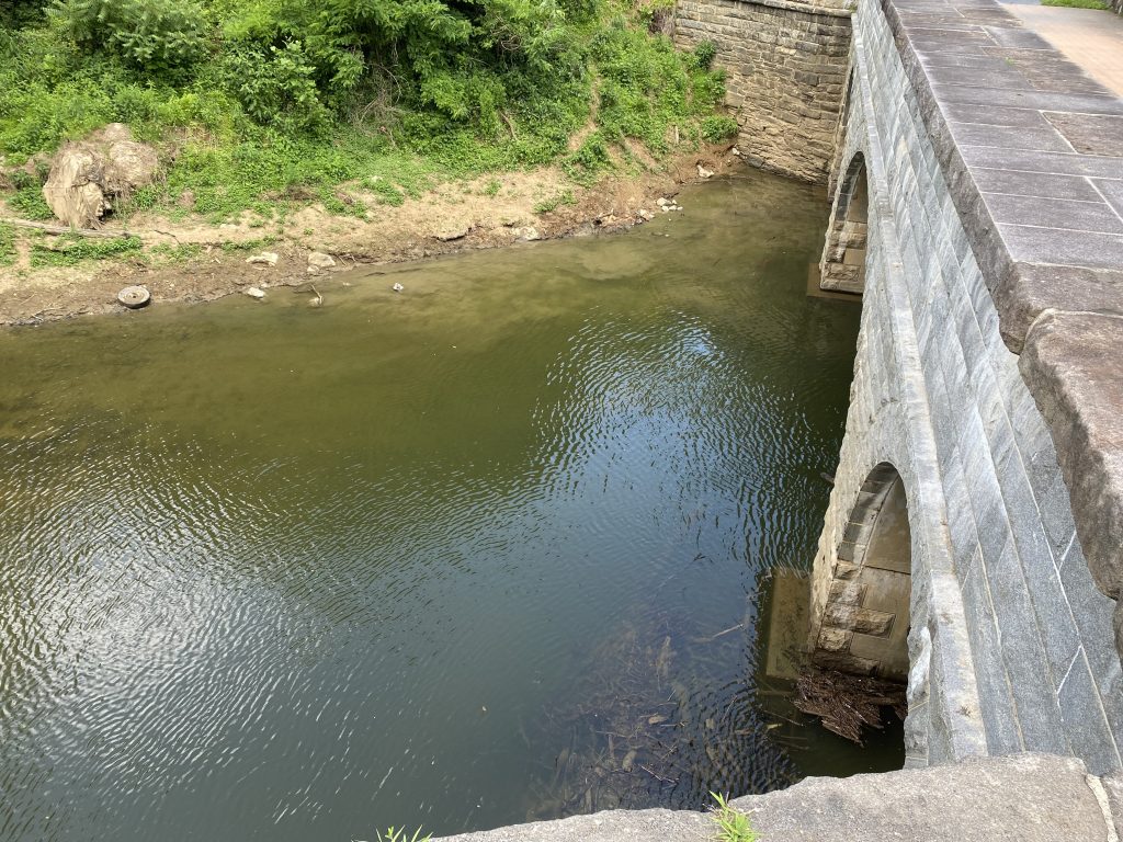 Cleared waterway after clean-up.