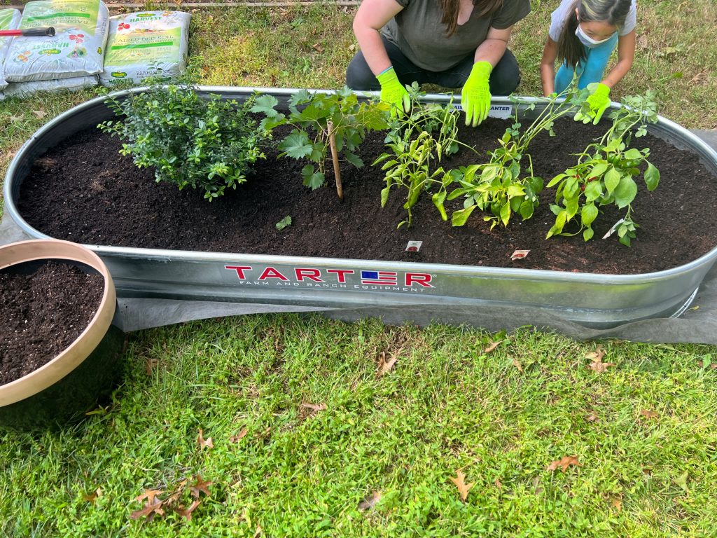 Left garden bed