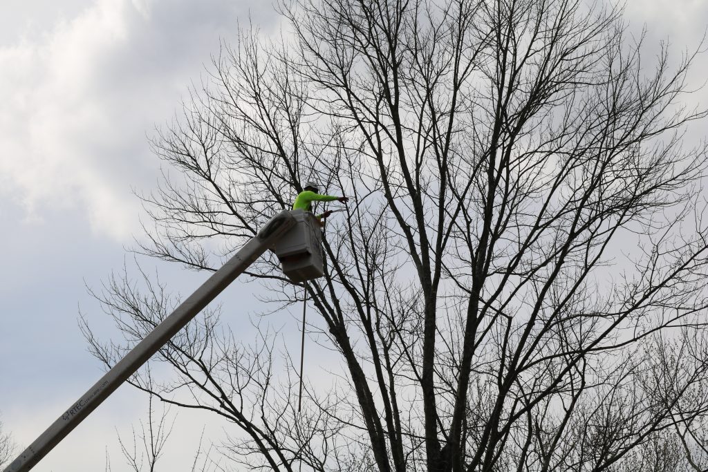 RTEC Tree pruning