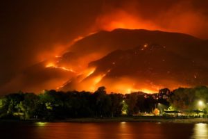 wildfire prevention