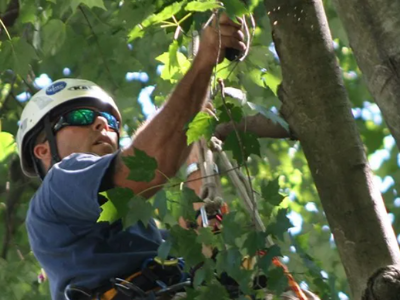 Green Industry Professionals